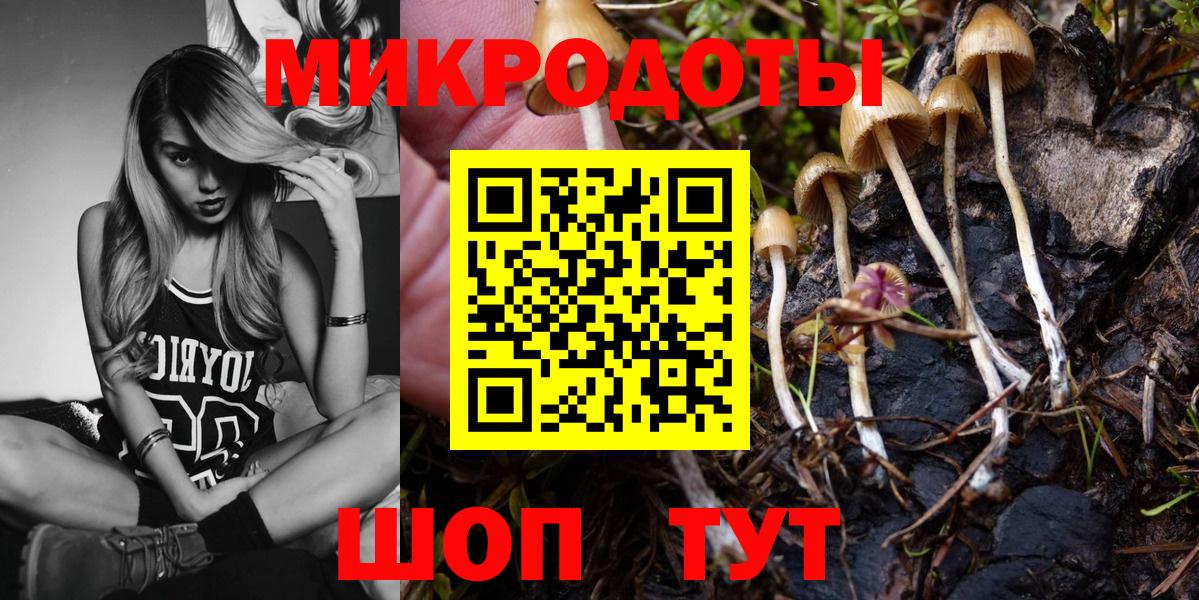 Галлюциногенные грибы Cubensis  Вход с VPN  Псилоцибиновые грибы Psilocybine cubensis  Железногорск 