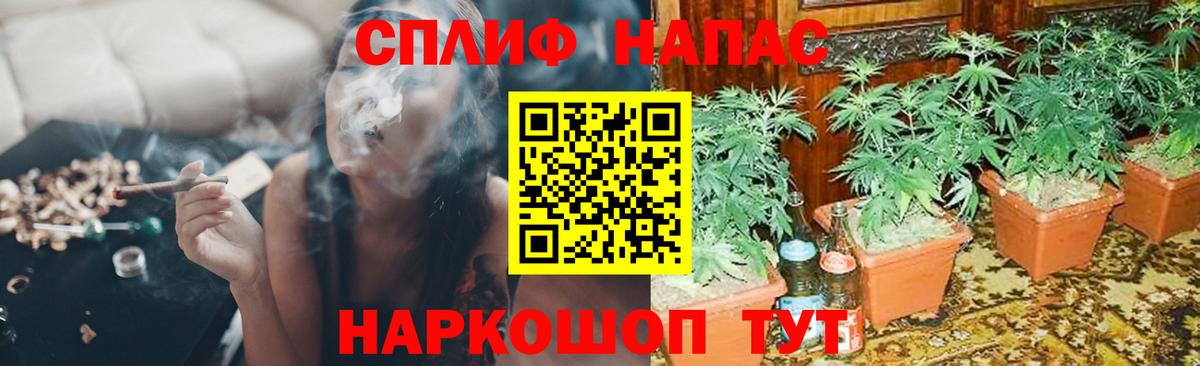 Канабис MAZAR Железногорск